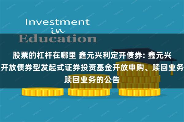 股票的杠杆在哪里 鑫元兴利定开债券: 鑫元兴利定期开放债券型发起式证券投资基金开放申购、赎回业务的公告