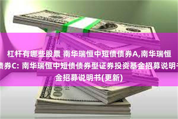 杠杆有哪些股票 南华瑞恒中短债债券A,南华瑞恒中短债债券C: 南华瑞恒中短债债券型证券投资基金招募说明书(更新)