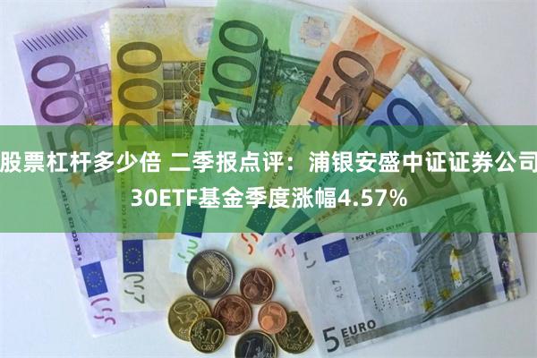 股票杠杆多少倍 二季报点评：浦银安盛中证证券公司30ETF基金季度涨幅4.57%