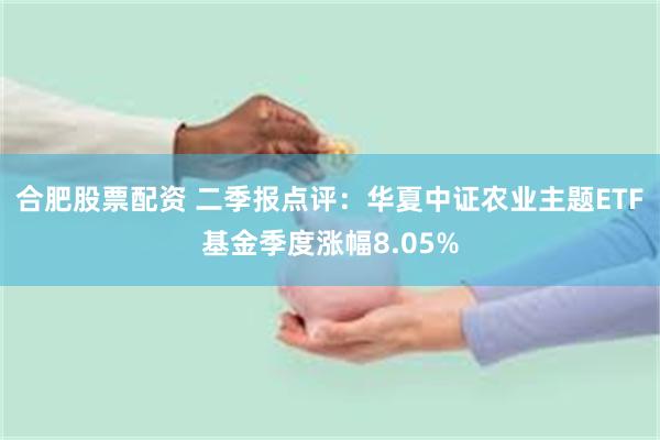 合肥股票配资 二季报点评：华夏中证农业主题ETF基金季度涨幅8.05%