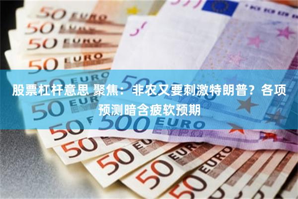 股票杠杆意思 聚焦：非农又要刺激特朗普？各项预测暗含疲软预期