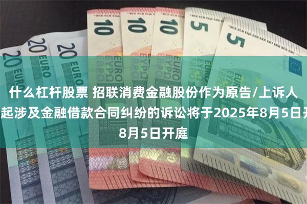 什么杠杆股票 招联消费金融股份作为原告/上诉人的1起涉及金融借款合同纠纷的诉讼将于2025年8月5日开庭