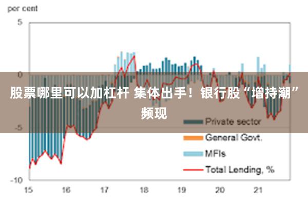 股票哪里可以加杠杆 集体出手！银行股“增持潮”频现