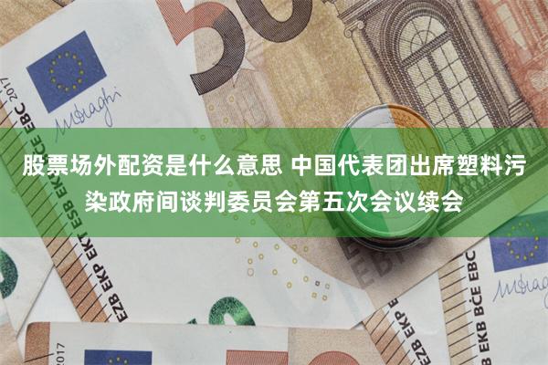 股票场外配资是什么意思 中国代表团出席塑料污染政府间谈判委员会第五次会议续会