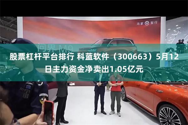 股票杠杆平台排行 科蓝软件（300663）5月12日主力资金净卖出1.05亿元