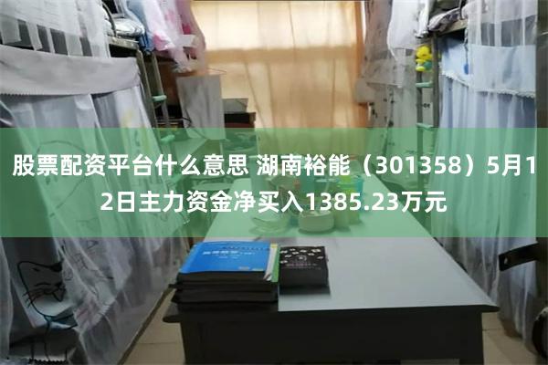 股票配资平台什么意思 湖南裕能（301358）5月12日主力资金净买入1385.23万元