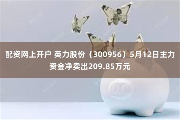 配资网上开户 英力股份（300956）5月12日主力资金净卖出209.85万元