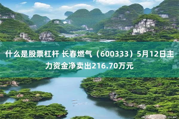 什么是股票杠杆 长春燃气（600333）5月12日主力资金净卖出216.70万元