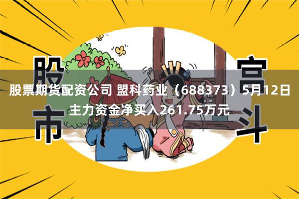 股票期货配资公司 盟科药业（688373）5月12日主力资金净买入261.75万元