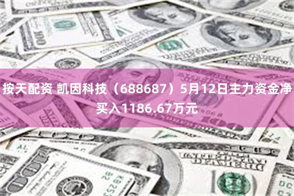 按天配资 凯因科技（688687）5月12日主力资金净买入1186.67万元