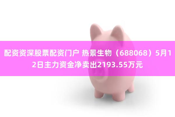 配资资深股票配资门户 热景生物（688068）5月12日主力资金净卖出2193.55万元
