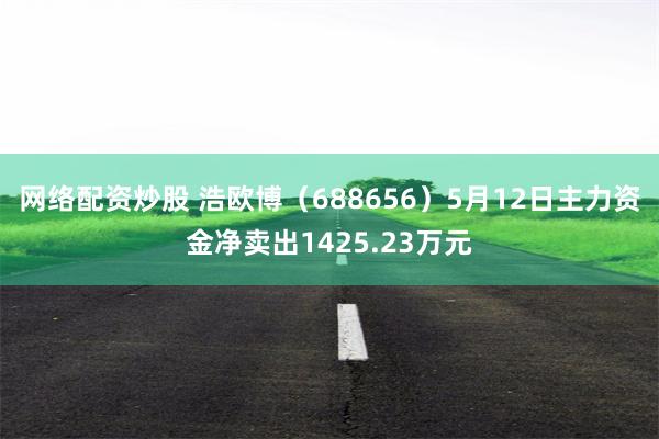 网络配资炒股 浩欧博（688656）5月12日主力资金净卖出1425.23万元