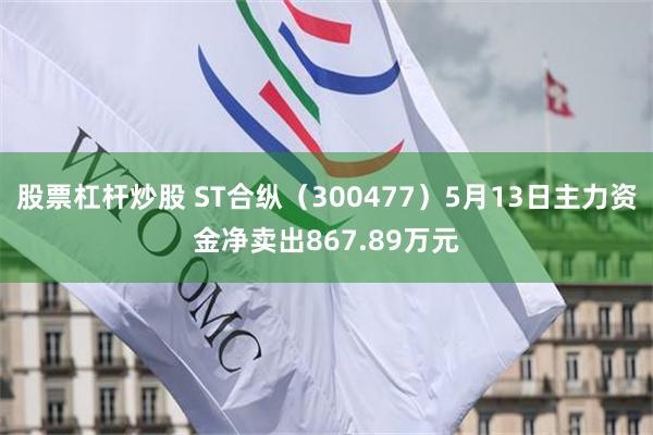 股票杠杆炒股 ST合纵（300477）5月13日主力资金净卖出867.89万元