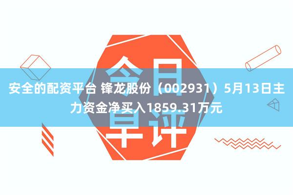 安全的配资平台 锋龙股份（002931）5月13日主力资金净买入1859.31万元