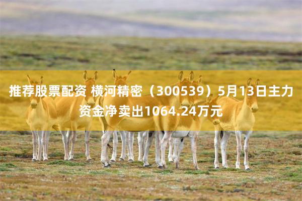 推荐股票配资 横河精密（300539）5月13日主力资金净卖出1064.24万元