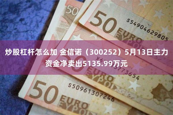 炒股杠杆怎么加 金信诺（300252）5月13日主力资金净卖出5135.99万元