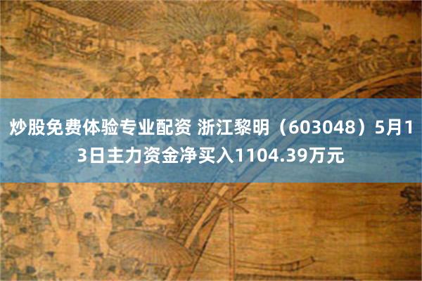 炒股免费体验专业配资 浙江黎明（603048）5月13日主力资金净买入1104.39万元