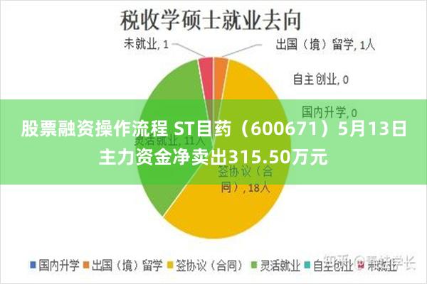 股票融资操作流程 ST目药（600671）5月13日主力资金净卖出315.50万元