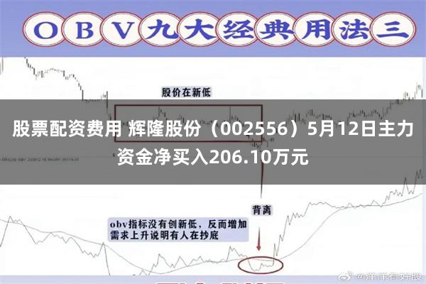 股票配资费用 辉隆股份（002556）5月12日主力资金净买入206.10万元