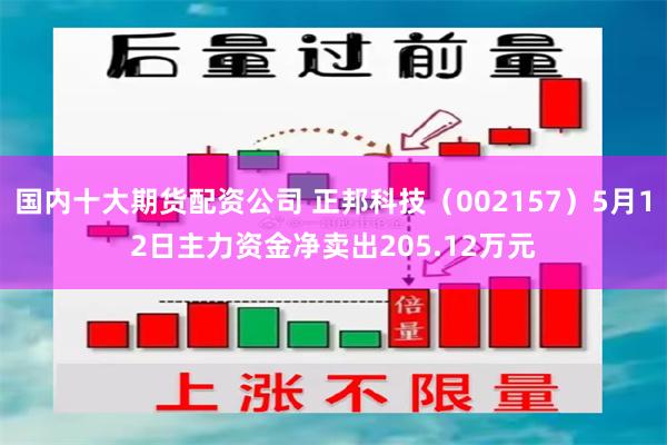 国内十大期货配资公司 正邦科技（002157）5月12日主力资金净卖出205.12万元