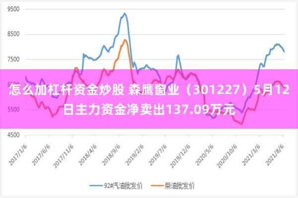 怎么加杠杆资金炒股 森鹰窗业（301227）5月12日主力资金净卖出137.09万元