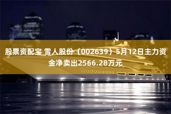 股票资配宝 雪人股份（002639）5月12日主力资金净卖出2566.28万元