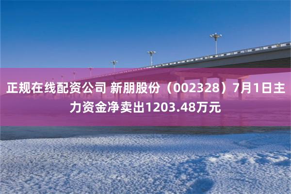 正规在线配资公司 新朋股份（002328）7月1日主力资金净卖出1203.48万元