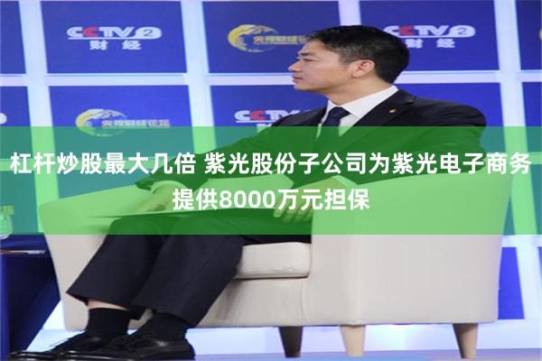 杠杆炒股最大几倍 紫光股份子公司为紫光电子商务提供8000万元担保
