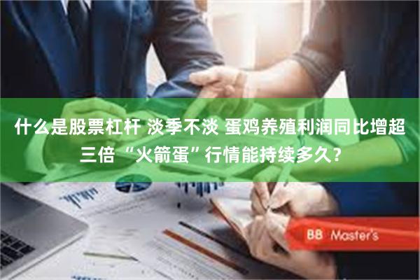什么是股票杠杆 淡季不淡 蛋鸡养殖利润同比增超三倍 “火箭蛋”行情能持续多久?