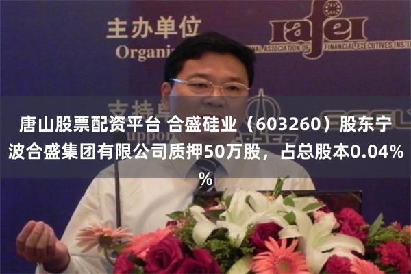 唐山股票配资平台 合盛硅业（603260）股东宁波合盛集团有限公司质押50万股，占总股本0.04%