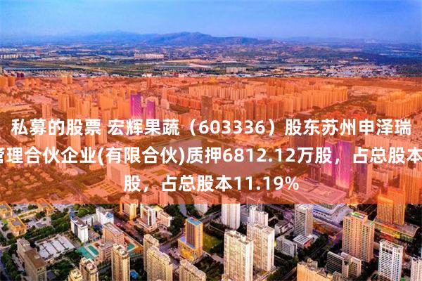 私募的股票 宏辉果蔬（603336）股东苏州申泽瑞泰企业管理合伙企业(有限合伙)质押6812.12万股，占总股本11.19%