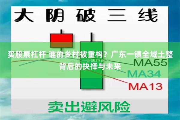 买股票杠杆 谁的乡村被重构？广东一镇全域土整背后的抉择与未来
