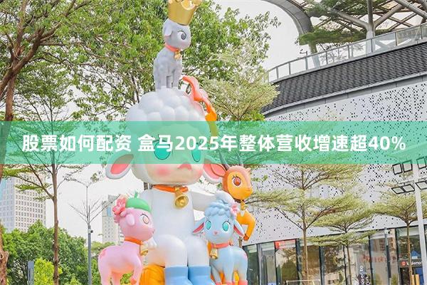 股票如何配资 盒马2025年整体营收增速超40%