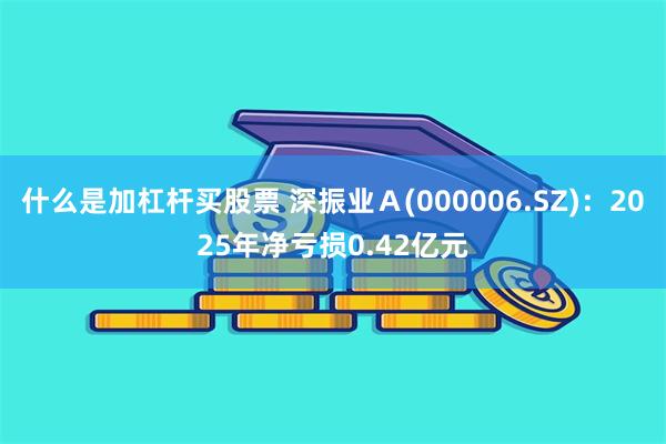 什么是加杠杆买股票 深振业Ａ(000006.SZ)：2025年净亏损0.42亿元