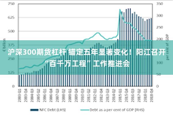 沪深300期货杠杆 锚定五年显著变化！阳江召开“百千万工程”工作推进会