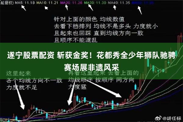 遂宁股票配资 斩获金奖！花都秀全少年狮队驰骋赛场展非遗风采
