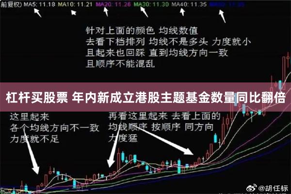 杠杆买股票 年内新成立港股主题基金数量同比翻倍