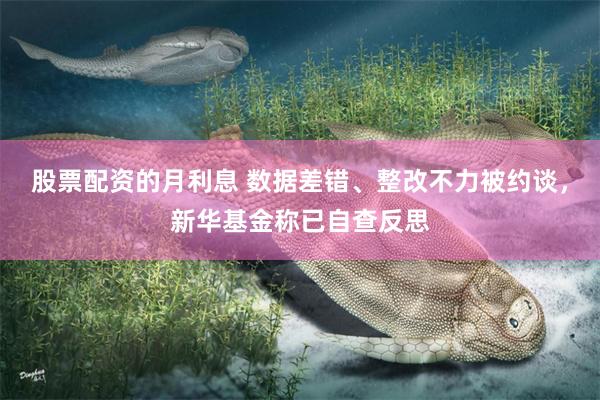 股票配资的月利息 数据差错、整改不力被约谈，新华基金称已自查反思