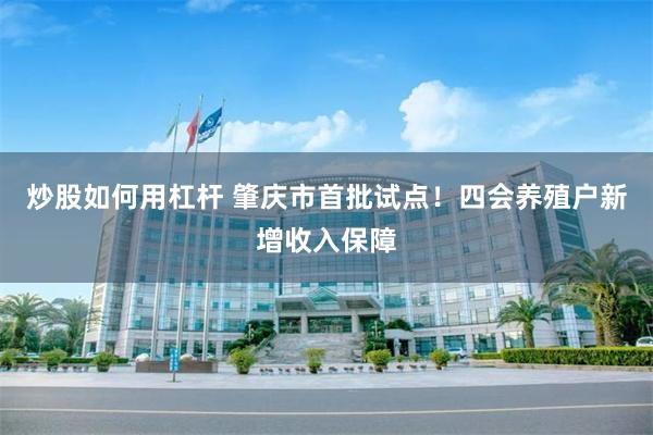 炒股如何用杠杆 肇庆市首批试点！四会养殖户新增收入保障