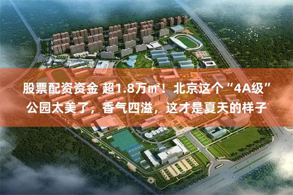 股票配资资金 超1.8万㎡！北京这个“4A级”公园太美了，香气四溢，这才是夏天的样子