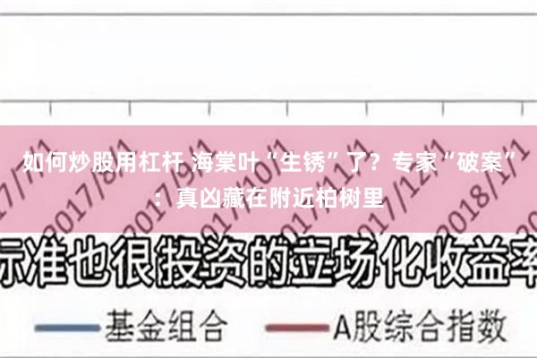 如何炒股用杠杆 海棠叶“生锈”了？专家“破案”：真凶藏在附近柏树里