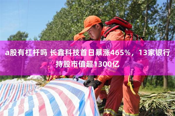 a股有杠杆吗 长鑫科技首日暴涨465%，13家银行持股市值超1300亿