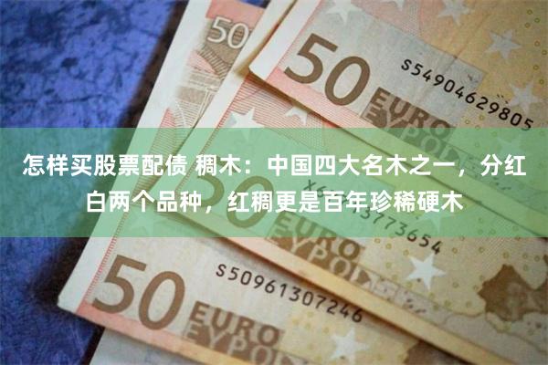 怎样买股票配债 稠木：中国四大名木之一，分红白两个品种，红稠更是百年珍稀硬木