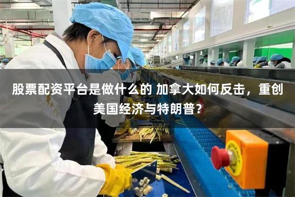 股票配资平台是做什么的 加拿大如何反击，重创美国经济与特朗普？