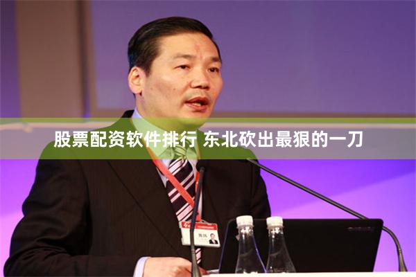 股票配资软件排行 东北砍出最狠的一刀
