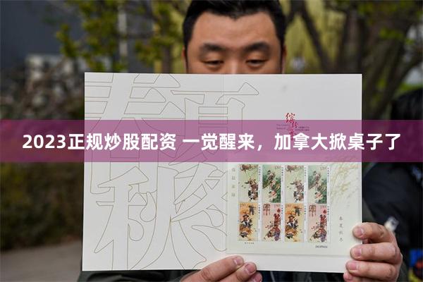 2023正规炒股配资 一觉醒来，加拿大掀桌子了