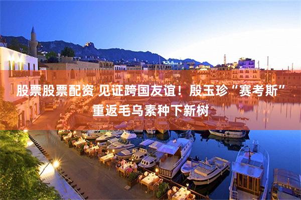 股票股票配资 见证跨国友谊！殷玉珍“赛考斯”重返毛乌素种下新树