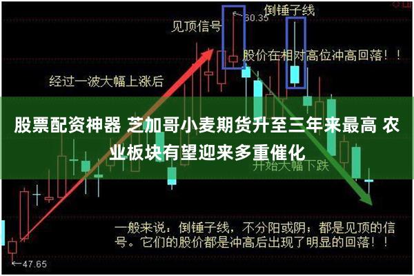 股票配资神器 芝加哥小麦期货升至三年来最高 农业板块有望迎来多重催化