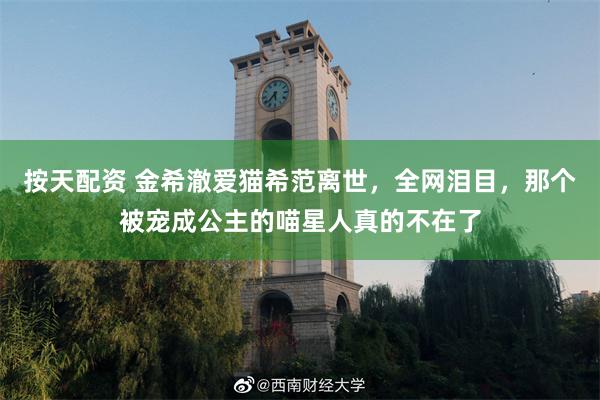 按天配资 金希澈爱猫希范离世，全网泪目，那个被宠成公主的喵星人真的不在了
