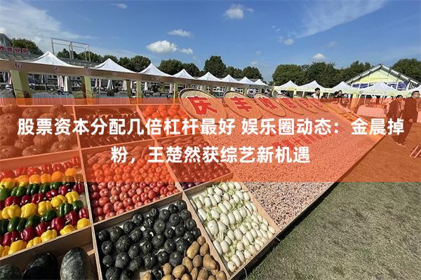 股票资本分配几倍杠杆最好 娱乐圈动态：金晨掉粉，王楚然获综艺新机遇